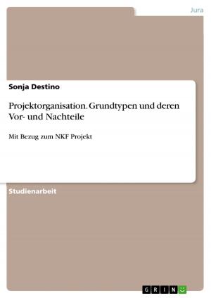 Cover of the book Projektorganisation. Grundtypen und deren Vor- und Nachteile by Britta Brokate