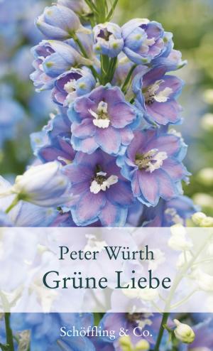 Cover of the book Grüne Liebe by Monika Huchel