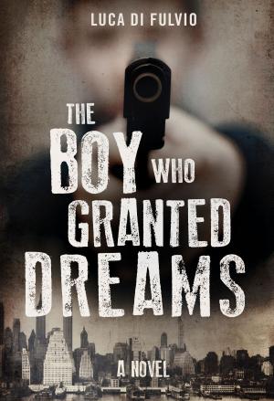 Book cover of The Boy Who Granted Dreams