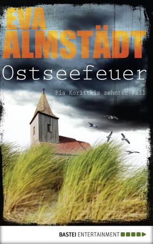 Cover of the book Ostseefeuer by Lisa Brönnimann