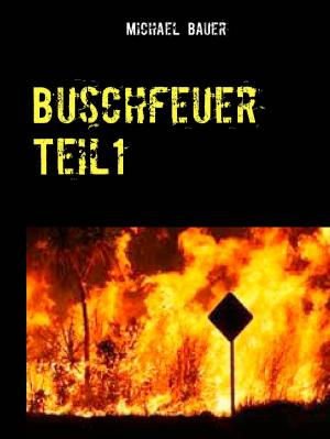 Cover of the book Buschfeuer by Jörg Becker