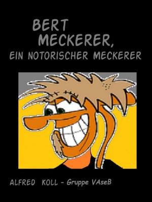 Cover of the book Bert Meckerer by Wolfgang Wellmann, Marc Ericson