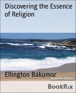 Cover of the book Discovering the Essence of Religion by moeketsi matsaisa