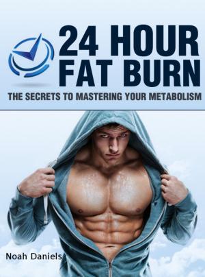 Book cover of 24 Hour Fat Burn