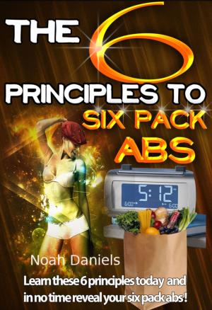 Cover of the book The 6 Principles To Six Pack Abs by J.M. Barber