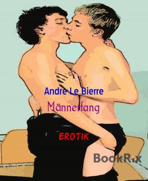 Cover of the book Männerfang by Anna Martach