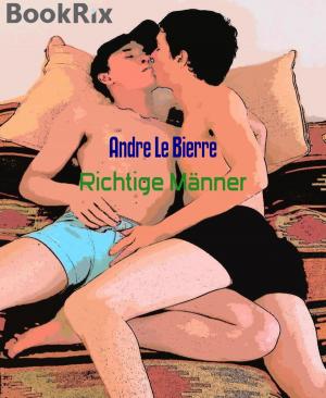 Book cover of Richtige Männer
