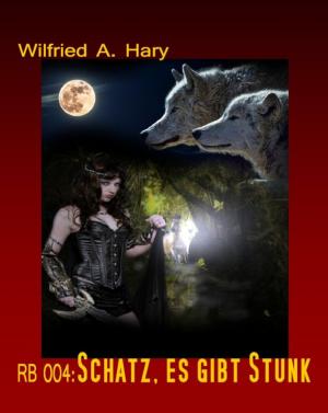 Cover of the book RB 004: Schatz, es gibt Stunk by Steve Salomo
