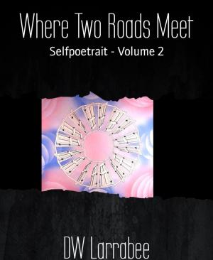 bigCover of the book Where Two Roads Meet by 