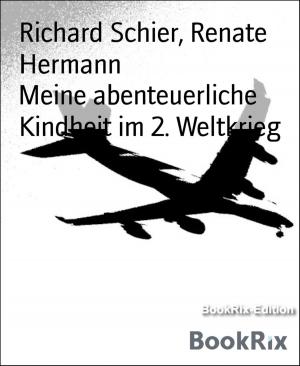 Cover of the book Meine abenteuerliche Kindheit im 2. Weltkrieg by Ronald M. Hahn