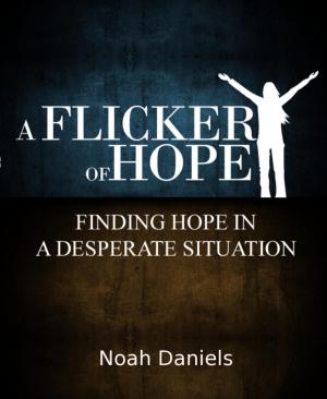 Book cover of A Flicker Of Hope