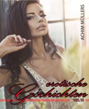 Cover of the book Erotische Geschichten VI by TJ GONZALES