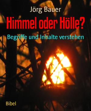 Cover of the book Himmel oder Hölle? by Jennifer Burlock