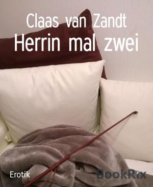 Book cover of Herrin mal zwei