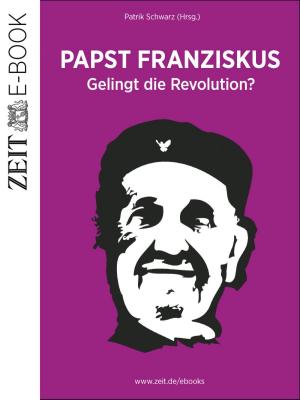 Cover of the book Papst Franziskus by Gunter Pirntke