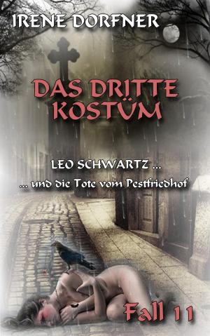 Cover of the book Das dritte Kostüm by Katrin Kleebach