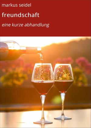 Cover of the book freundschaft by Kevin-René Schilling