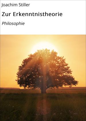 Cover of the book Zur Erkenntnistheorie by Heike Noll