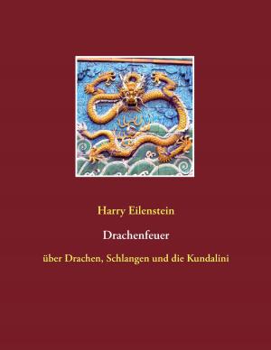Book cover of Drachenfeuer