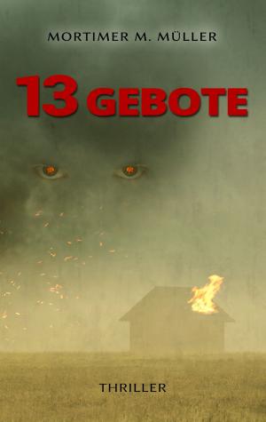 Cover of the book 13 Gebote by Jens Kuhlemann