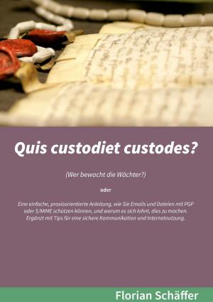 Cover of the book Quis custodiet custodes? by Thomas Wagner