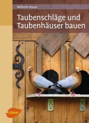 Cover of the book Taubenschläge und Taubenhäuser bauen by Jürgen Harlizius, Isabel Hennig-Pauka