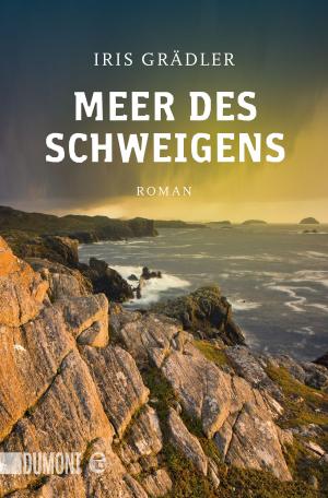 Cover of the book Meer des Schweigens by Meg Wolitzer