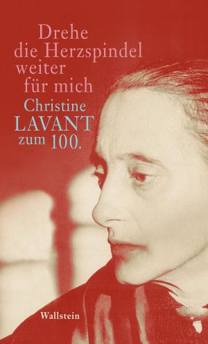 Cover of the book Drehe die Herzspindel weiter für mich by D. R. Martin