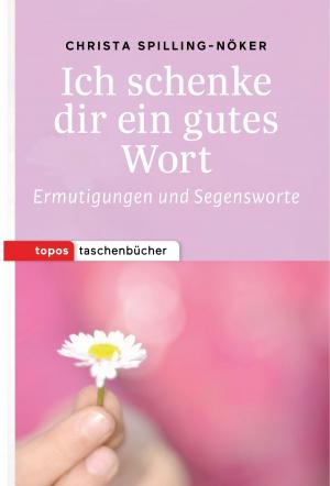 Cover of the book Ich schenke dir ein gutes Wort by Bernardin Schellenberger