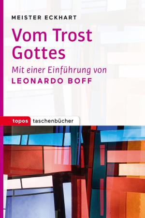 Cover of the book Vom Trost Gottes by Bernardin Schellenberger