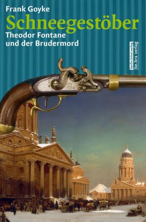 Cover of the book Schneegestöber by Tanja Dückers