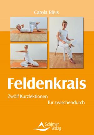 Cover of the book Feldenkrais by Simone Vetters