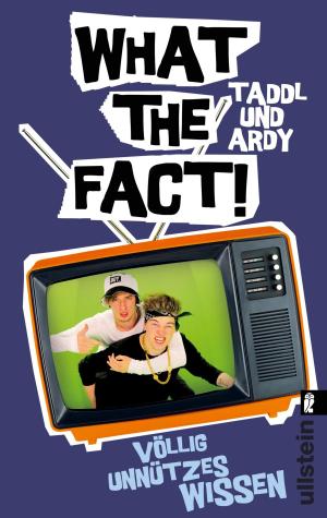 Cover of the book What The Fact by Remy Eyssen