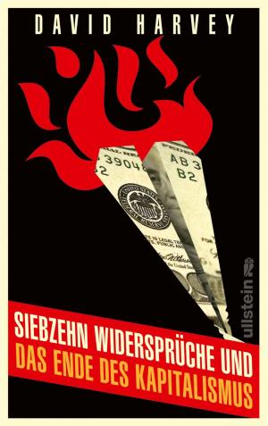 Cover of the book Siebzehn Widersprüche und das Ende des Kapitalismus by Tessa Hennig