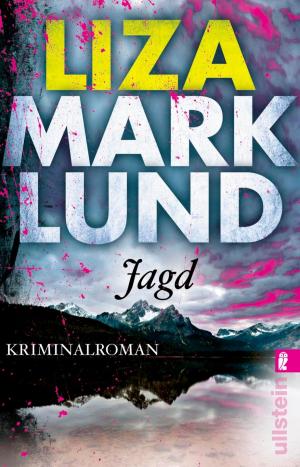 Cover of the book Jagd by Åke Edwardson