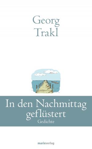 Cover of the book In den Nachmittag geflüstert by John Andreas Fuchs