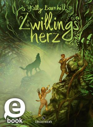 Book cover of Zwillingsherz