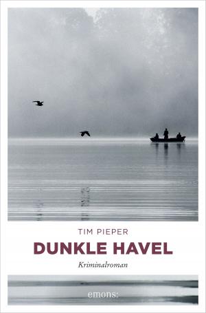 Cover of the book Dunkle Havel by Carsten Sebastian Henn