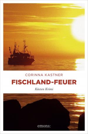 Book cover of Fischland-Feuer
