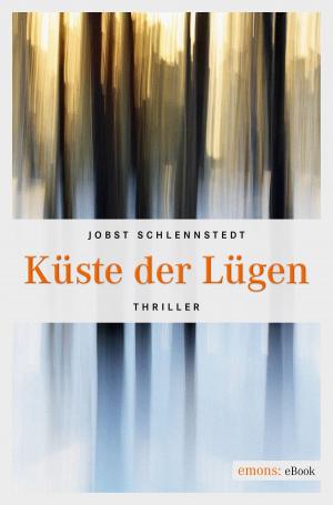 Cover of the book Küste der Lügen by Sascha Pranschke