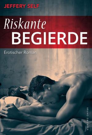Cover of the book Riskante Begierde by Tilman Janus