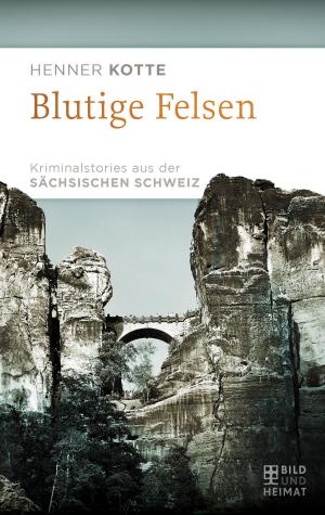 Cover of the book Blutige Felsen by Anett Steiner