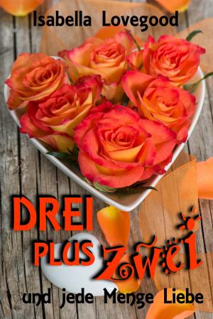 Cover of the book Drei plus zwei by Juli Valenti