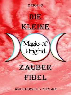 Cover of Die kleine Magic of Brighid Zauberfibel