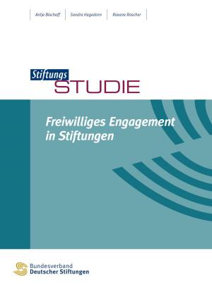 Cover of the book Freiwilliges Engagement in Stiftungen by Juliane Metzner, Judith Engelke, Reiner Klingholz