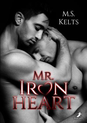 Cover of the book Mr. Ironheart by Lena Seidel, Toni Kuklik