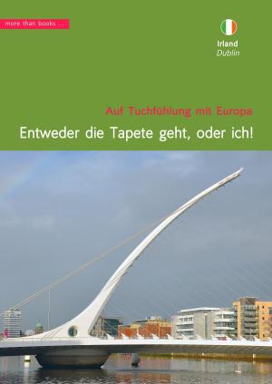 Book cover of Irland, Dublin: 'Entweder die Tapete geht, oder ich!'