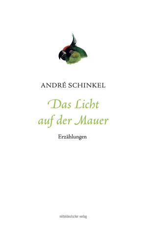 Cover of Das Licht auf der Mauer