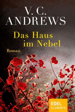 Book cover of Das Haus im Nebel