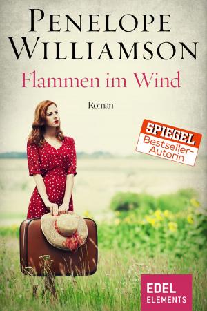 Book cover of Flammen im Wind